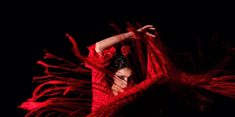 show-flamenco